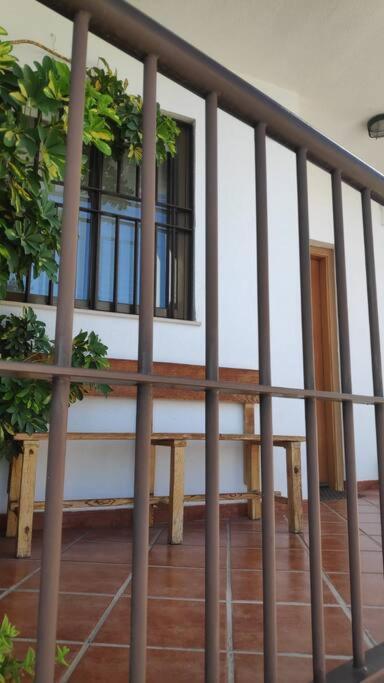 Duplex San Lorenzo 2 Parking Gratuitos Y Piscina Jaen Bagian luar foto